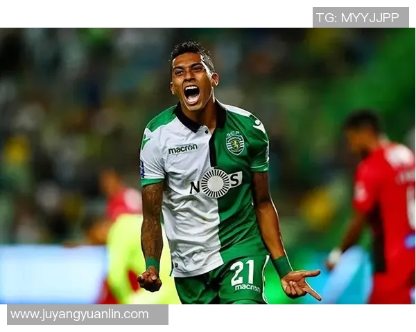 88号码球星足球队崛起 揭秘新一代足球天才与团队默契之路